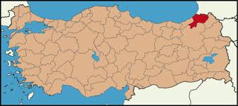 Image result for artvin haritası