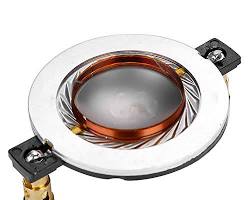 Image of tweeter coil