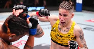 LowKickMMA.com - News update