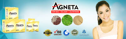 Hasil gambar untuk produk agneta