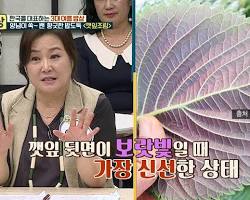 신선한 깻잎 고르는 법