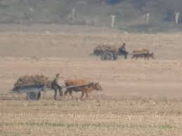 Image result for North Korea warns nukes 'as precious as life'