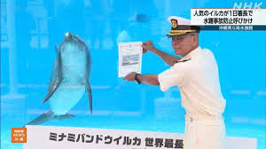 NHK - News update