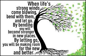 Oh, I just love this! I act like a Willow tree every day. I ... via Relatably.com