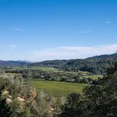 Calistoga