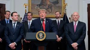 trump crypto Picture