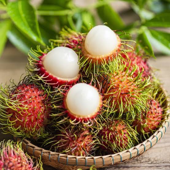 Rambutan Fruit Plant - RoyalsPlant