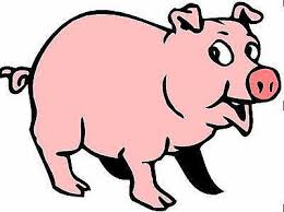 Hasil gambar untuk babi