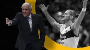 Solobasket - News update