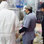 فصل الزيارات للوقاية من إنفلونزا