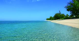 Résultat de recherche d'images pour "plages la réunion"