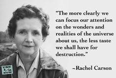 Rachel Carson on Pinterest | Writers, Spring and Environment via Relatably.com