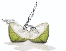 coconut water కోసం చిత్ర ఫలితం
