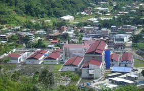 Resultado de imagen para fotos de perene chanchamayo