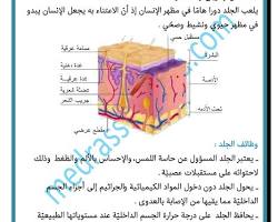 Image of فوائد الجلد