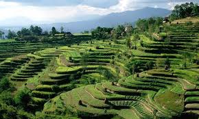 Image result for tourist places in nepal
