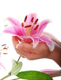 images