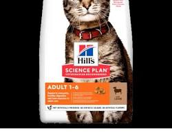 Hill's Science Diet Kedi Ödülü resmi