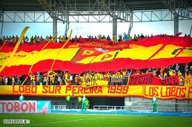 Resultado de imagen para lobo sur pereira