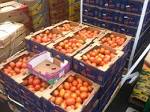 Philadelphia Wholesale Produce Market: Home