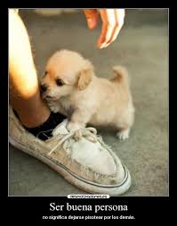 Resultado de imagen para imagenes cute