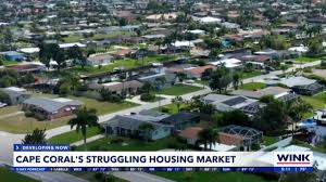 WINK News - News update
