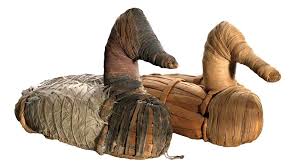 Oldest human DNA in Americas found in ancient poop