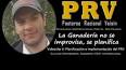 Video de pastoreo racional voisin (prv) - videoclip