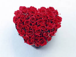 Image result for valentines day images