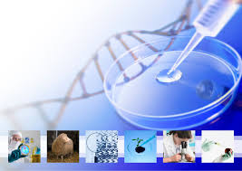 Resultado de imagen para organos a base de biotecnologia