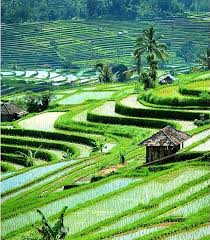 Image result for kumpulan gambar keindahan alam