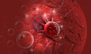 Image result for cancer