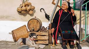 Image result for vitsa zagoria