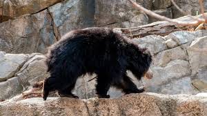 Aprīlis : ce qu'il faut savoir