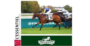France sire - News update