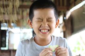 Premio Alsea 2026 abre convocatoria con $150,000 dólares para proyectos de nutrición