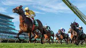 Racing Post - News update