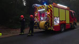 Canicule et incendies: le feu en forêt de Fontainebleau "se développe" ce soir