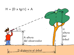 Resultado de imagen para las funciones matematicas VIDA COTIDIANA