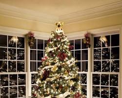 Image of brightly lit Christmas tree