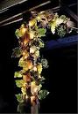 Lighted grapevine garland Sydney