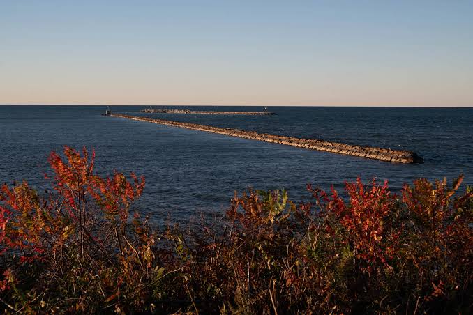 Trump says U.S. could rename Lake Ontario as Lake America amid Canada trade war; New York launches 'New York Loves Canada' tourism push