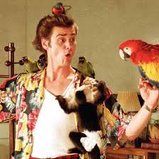 Best Ace Ventura Quotes. QuotesGram via Relatably.com