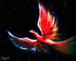 不死鳥ラン教室 イラストの画像
