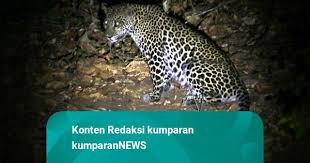 Kumparan - News update