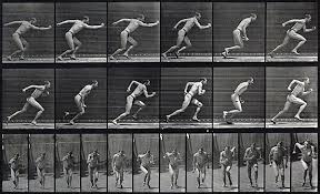 Image result for eadweard muybridge