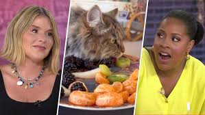 Jenna Puts Sheinelle Over the Edge With This Cat Video: ‘The Show Is Over’