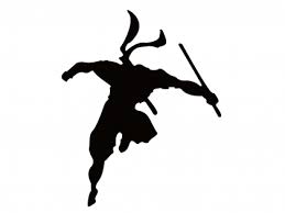 Hasil gambar untuk ninja