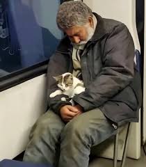 In his bent hand lay a tiny kitten | In his bent hand lay a tiny kitten. It curled up into a ball, as if it had always been there: safe, cared