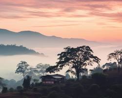Image of Coorg hills